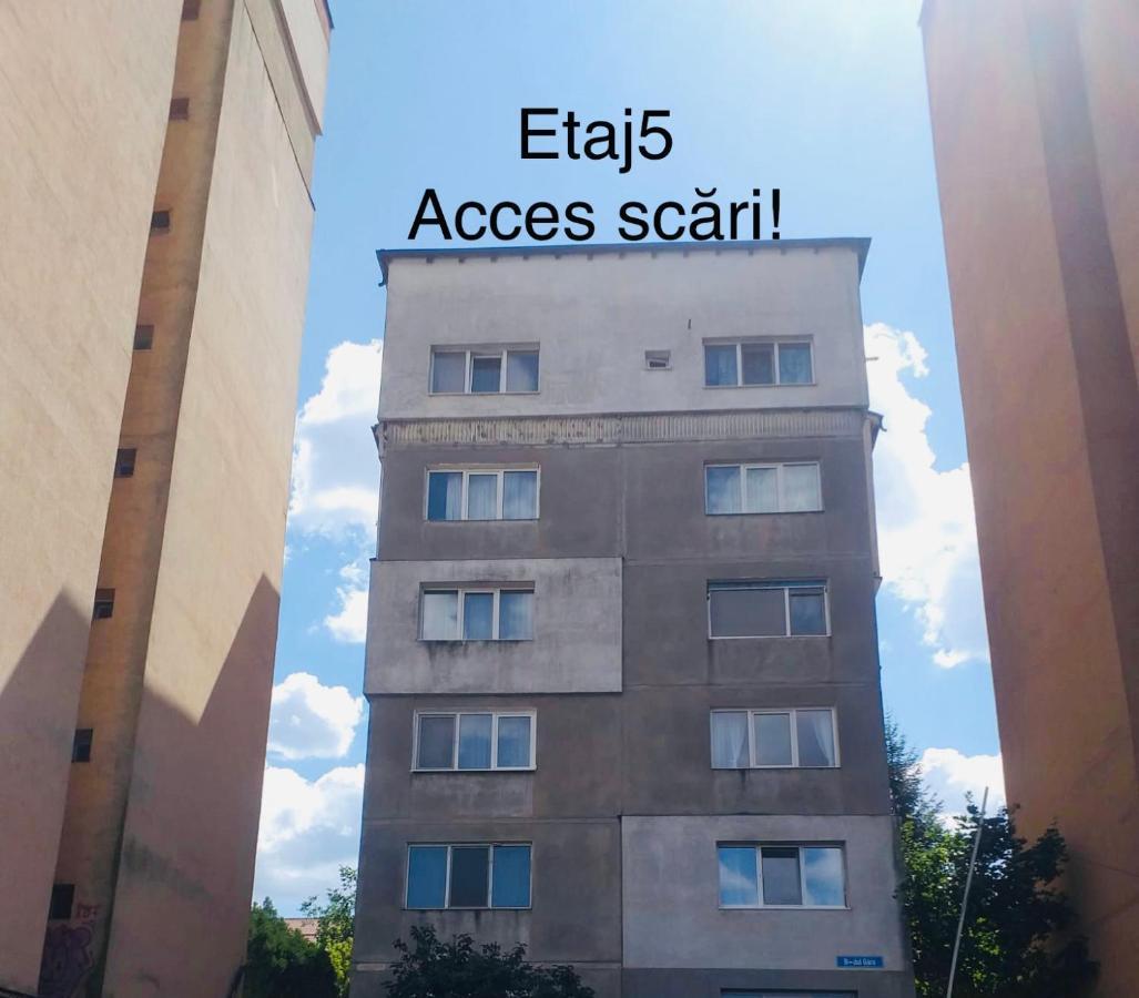Zizi'S House Garii Διαμέρισμα Μπρασόβ Εξωτερικό φωτογραφία