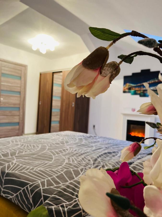 Zizi'S House Garii Διαμέρισμα Μπρασόβ Εξωτερικό φωτογραφία
