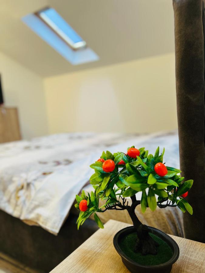Zizi'S House Garii Διαμέρισμα Μπρασόβ Εξωτερικό φωτογραφία